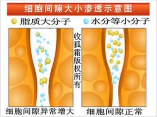 知医堂收狐霜,深受国际人士的好评与信赖