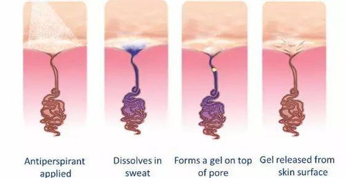止汗 除腋臭排名,致乳癌